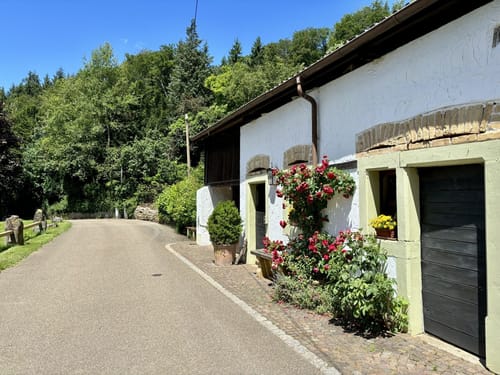 Von Müllheim über den Eichwald nach Rheintal