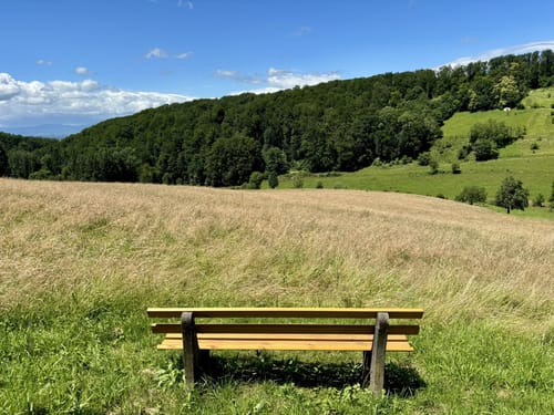Von Müllheim über den Eichwald nach Rheintal