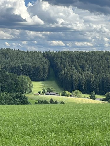 Von Pressath in den Hessenreuther Wald