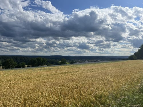 Von Pressath in den Hessenreuther Wald