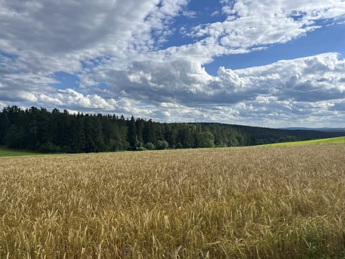Von Pressath in den Hessenreuther Wald