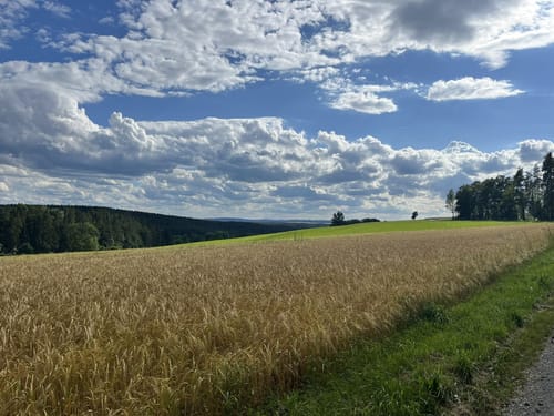 Von Pressath in den Hessenreuther Wald