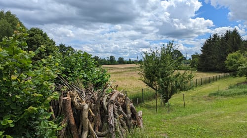 Durch die Parthendörfer bei Leipzig