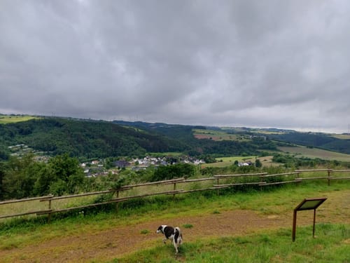 Devonpfad (Premiumwanderweg)