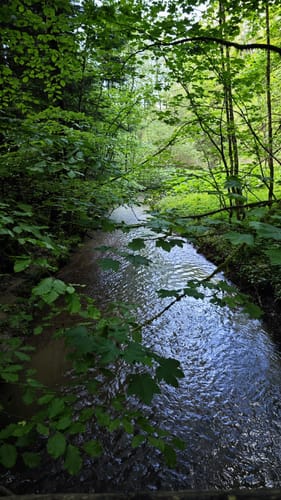 Welzheim - Klingenmühle - Steinbach Rundwanderung