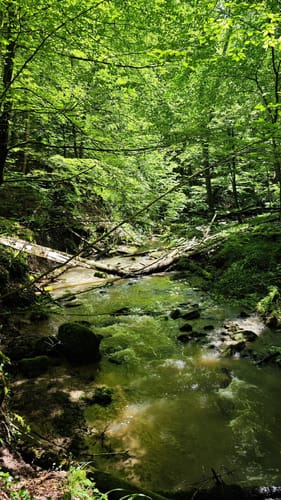 Welzheim - Klingenmühle - Steinbach Rundwanderung