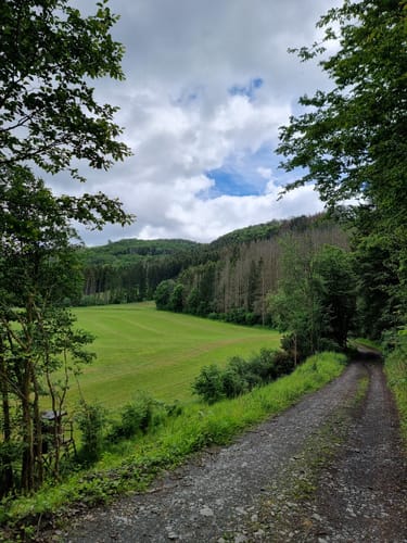 Eifelgoldroute (NaturWanderparkDeluxe)