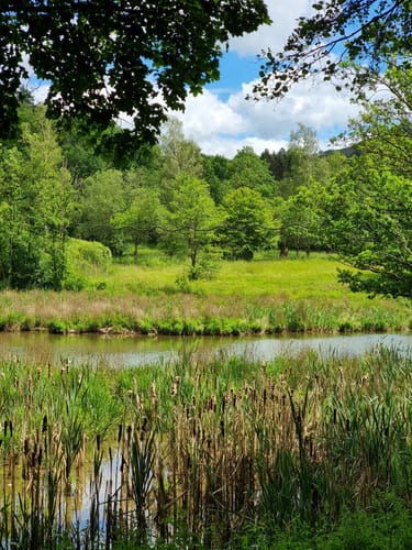 Eifelgoldroute (NaturWanderparkDeluxe)