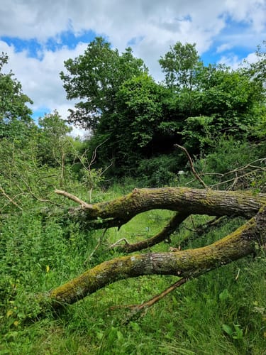 Eifelgoldroute (NaturWanderparkDeluxe)