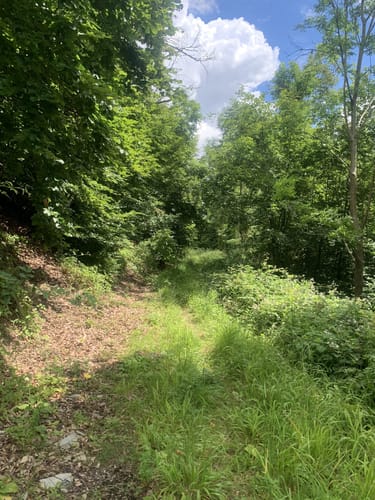 Historischer Wanderweg Heinsen (Hn 1)