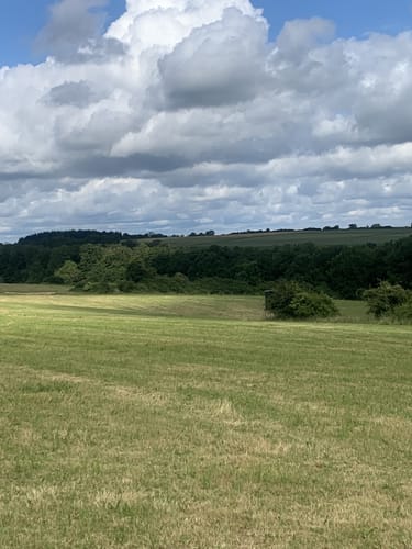 Historischer Wanderweg Heinsen (Hn 1)