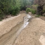 Whiting Ranch Trail, California - 1,841 Reviews, Map | AllTrails