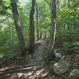 Raven Rocks via Appalachian Trail, Virginia - 6,278 Reviews, Map ...