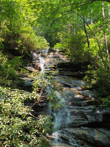 10 Best hikes and trails in Jones Gap State Park AllTrails