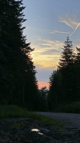 Stallauer Kopf - Zwiesel - Blomberghaus - Heiglkopf