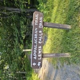 Lewis Spring Falls Trail, Virginia - 1,546 Reviews, Map | AllTrails