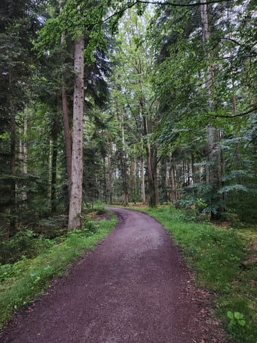 Tiefenbronn Schwarzer Adler - Tiefenbronn Mühlweg