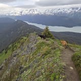 Grace Ridge Trail: South to North, Alaska - 220 Reviews, Map | AllTrails