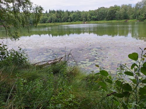 Geologischer Lehrpfad Weenzer Bruch