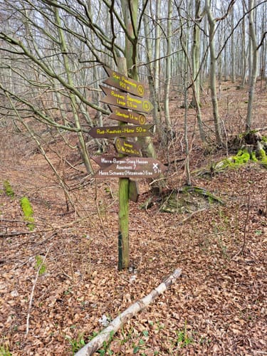 Rundweg 6: Silberklippe