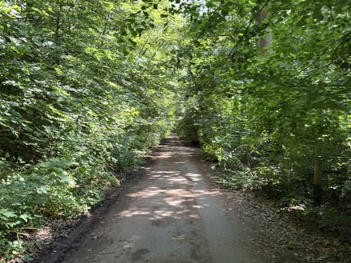 Fasanerieweg ab Tier- und Pflanzenpark Fasanerie Wiesbaden