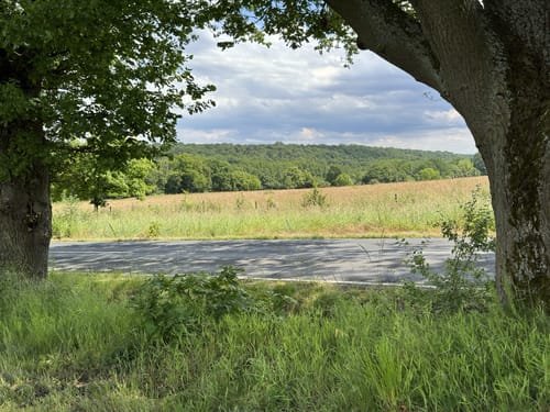 Fasanerieweg ab Tier- und Pflanzenpark Fasanerie Wiesbaden
