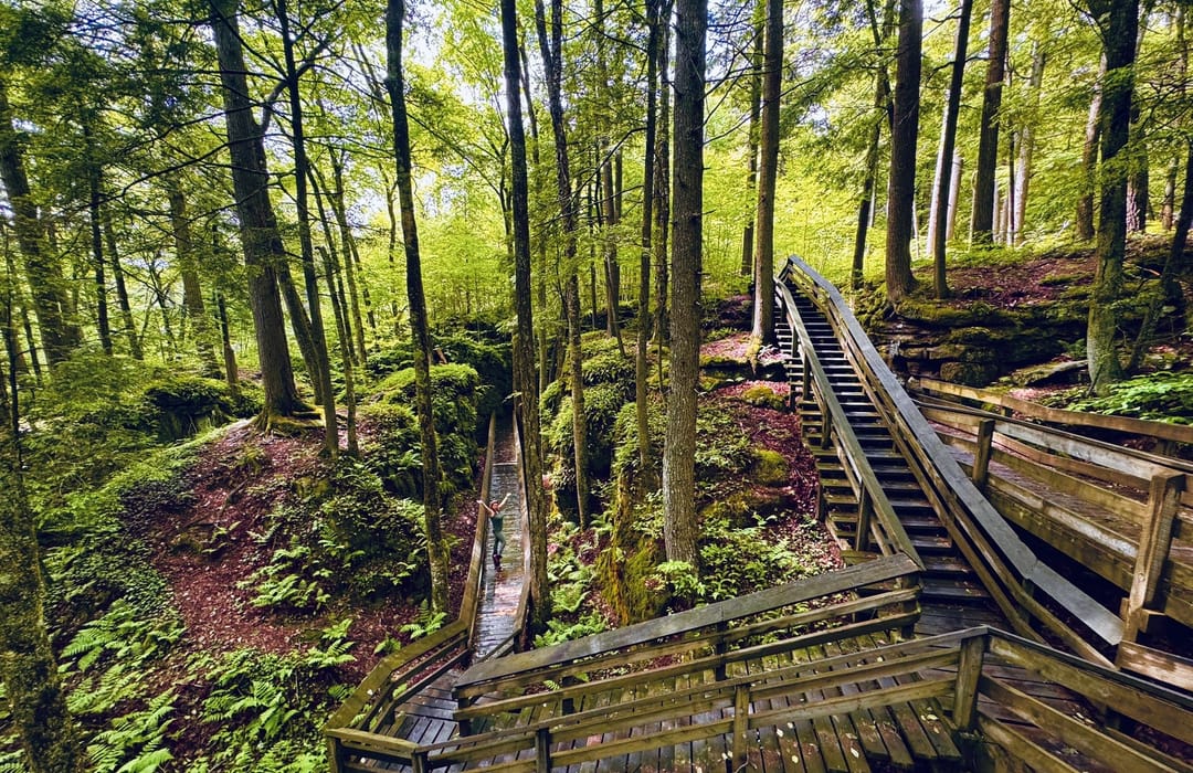 Babcock state park hiking trails hotsell