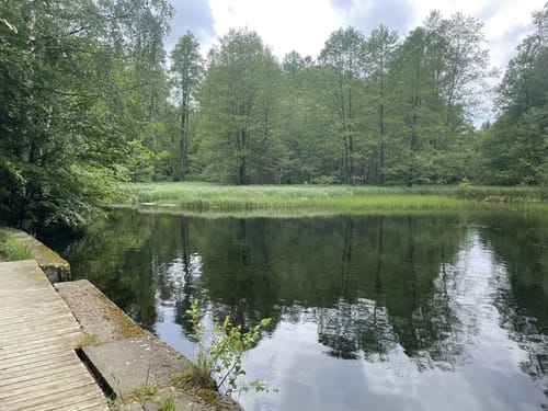 Bad Harzburg - Burgberg - Rabenklippen - Molkenhaus