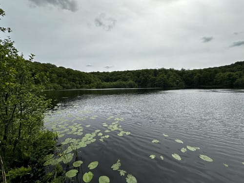 Hochuferwanderweg zum Schwarzen See und zum Jagdhaus Granitz