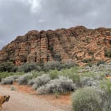 Butterfly, Lava Flow Overlook, West Canyon, and Petrified Dunes Loop ...