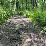 Sand Cave and White Rocks via Ewing Trail, Virginia - 1,223 Reviews ...