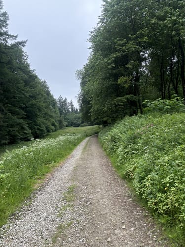 Lämmershagen A2