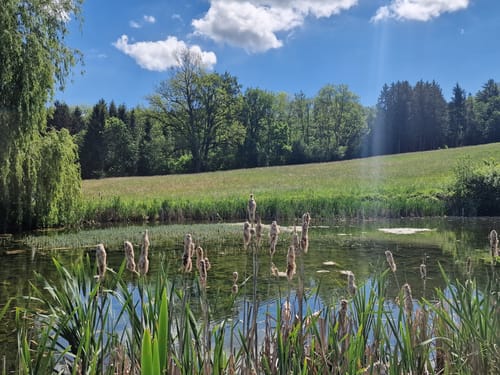Von Labersricht nach Ottosau