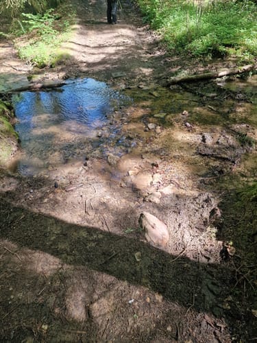 Von Labersricht nach Ottosau