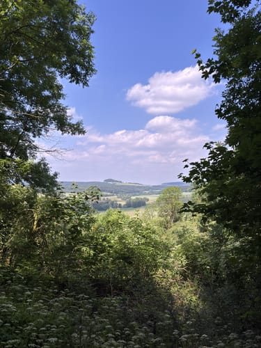 Zierenberg, Naturparkweg 6