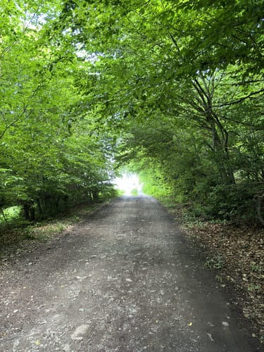 Zierenberg, Naturparkweg 6