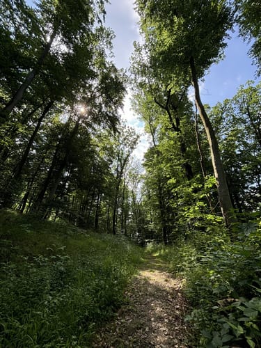 Zierenberg, Naturparkweg 6