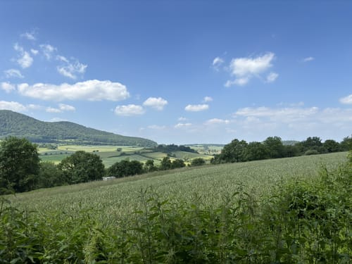 Zierenberg, Naturparkweg 6