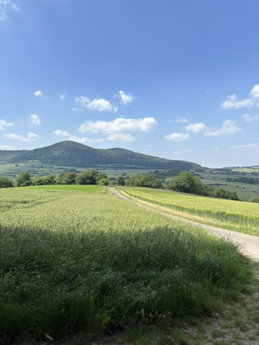 Zierenberg, Naturparkweg 6