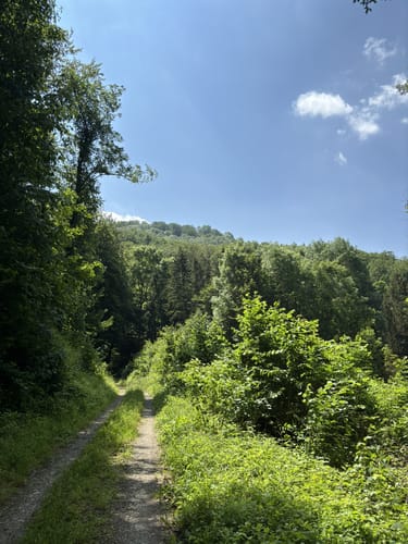 Zierenberg, Naturparkweg 6