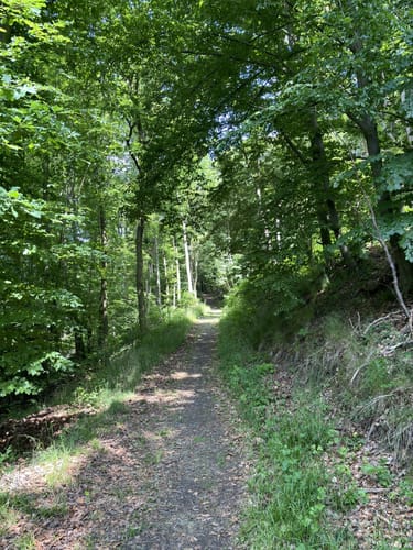 Zierenberg, Naturparkweg 6