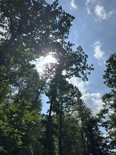 Zierenberg, Naturparkweg 6