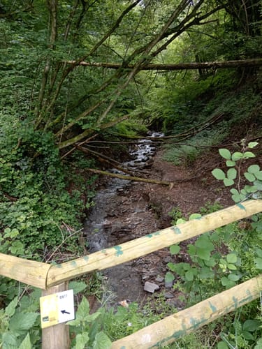 Klüsserather Sagenweg (Moselsteig Seitensprung)