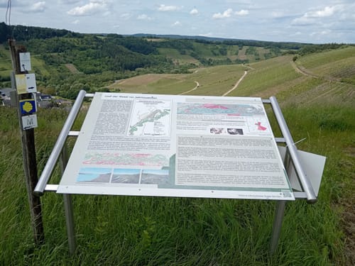 Klüsserather Sagenweg (Moselsteig Seitensprung)