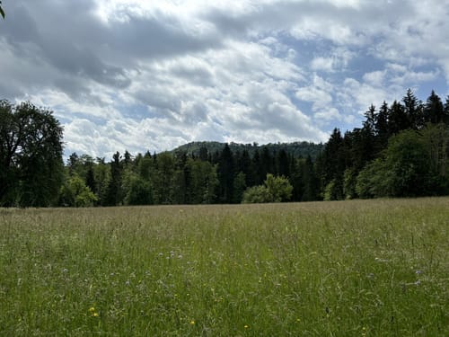 Dreifürstensteig (Premiumwanderweg)
