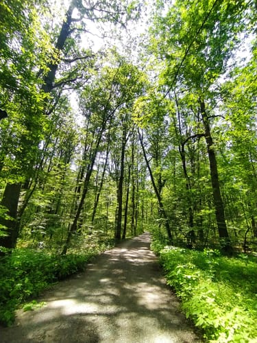 Der Charme der zweiten Reihe 1: Lützelquelle, Lindelbach und Lügenstein