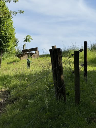 HeimatSpur Zwei-Täler-Weg