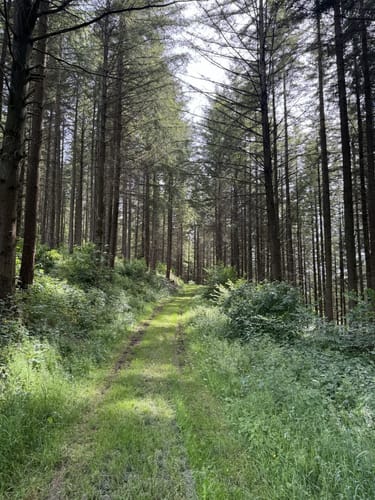HeimatSpur Zwei-Täler-Weg