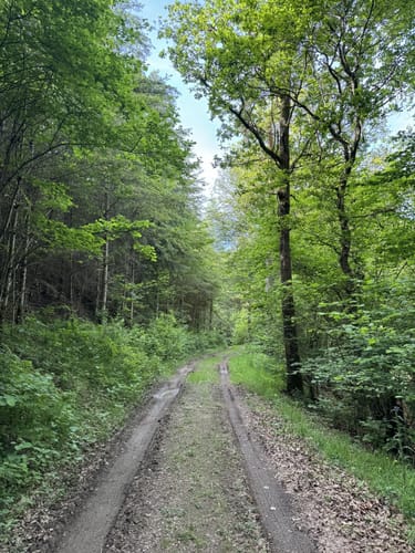 HeimatSpur Zwei-Täler-Weg