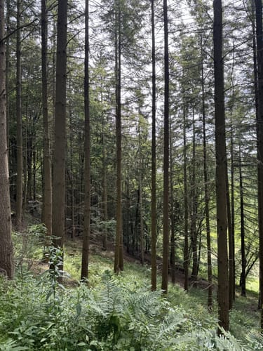 HeimatSpur Zwei-Täler-Weg